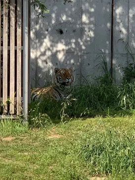 天王寺動物園に投稿された画像（2022/5/5）
