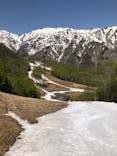 Hakuba47ウィンタースポーツパークに投稿された画像（2022/5/5）
