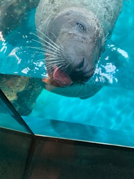 大分マリーンパレス水族館 「うみたまご」に投稿された画像（2022/5/5）