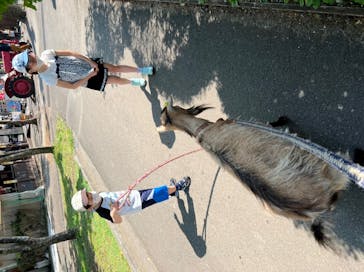まかいの牧場に投稿された画像（2022/5/5）
