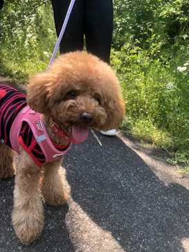 わんダフルネイチャーヴィレッジに投稿された画像（2022/5/5）