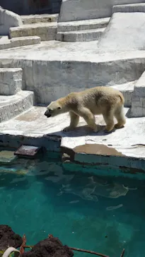 天王寺動物園に投稿された画像（2022/5/5）