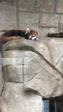 天王寺動物園に投稿された画像（2022/5/5）