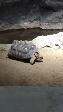 天王寺動物園に投稿された画像（2022/5/5）