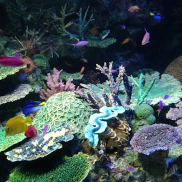 サンシャイン水族館に投稿された画像（2022/5/5）