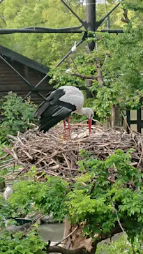 天王寺動物園に投稿された画像（2022/5/5）