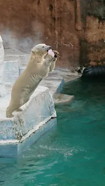 天王寺動物園に投稿された画像（2022/5/5）