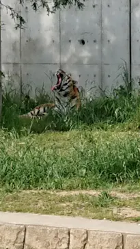 天王寺動物園に投稿された画像（2022/5/5）