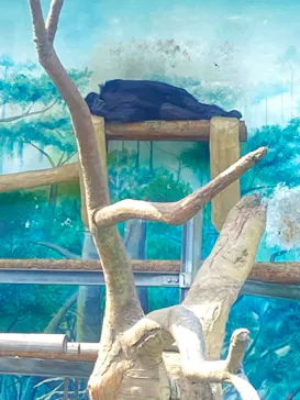 天王寺動物園に投稿された画像（2022/5/5）