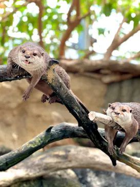 神戸どうぶつ王国に投稿された画像（2022/5/5）