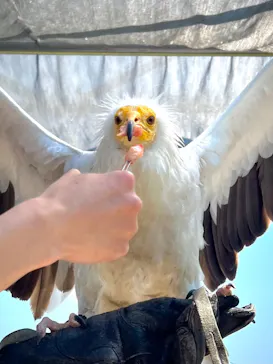 神戸どうぶつ王国に投稿された画像（2022/5/5）