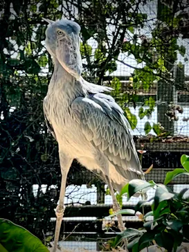 神戸どうぶつ王国に投稿された画像（2022/5/5）