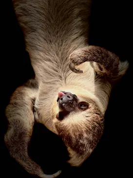 神戸どうぶつ王国に投稿された画像（2022/5/5）