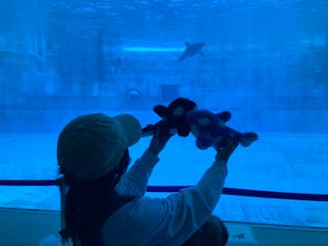 名古屋港水族館に投稿された画像（2022/5/5）
