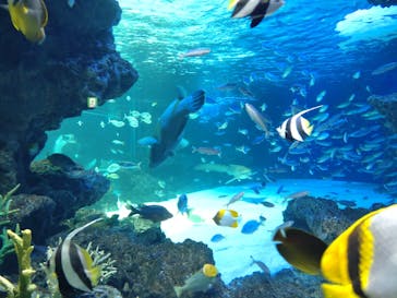 サンシャイン水族館に投稿された画像（2022/5/5）