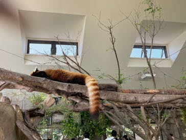 那須どうぶつ王国に投稿された画像（2022/5/5）