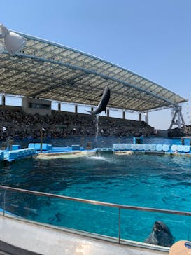 名古屋港水族館に投稿された画像（2022/5/5）
