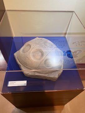 国立科学博物館　特別企画展「ポケモン化石博物館」に投稿された画像（2022/5/5）