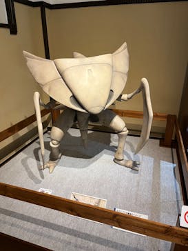 国立科学博物館　特別企画展「ポケモン化石博物館」に投稿された画像（2022/5/5）