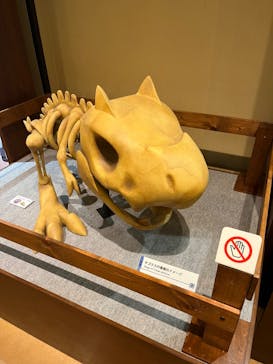 国立科学博物館　特別企画展「ポケモン化石博物館」に投稿された画像（2022/5/5）