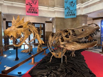 国立科学博物館　特別企画展「ポケモン化石博物館」に投稿された画像（2022/5/5）