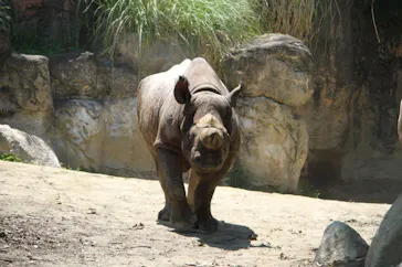 天王寺動物園に投稿された画像（2022/5/5）