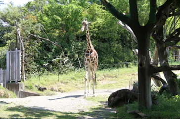 天王寺動物園に投稿された画像（2022/5/5）