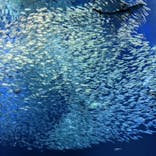 アクアワールド茨城県大洗水族館に投稿された画像（2022/5/5）