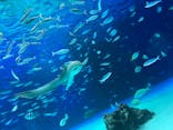 サンシャイン水族館に投稿された画像（2022/5/5）