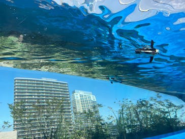 サンシャイン水族館に投稿された画像（2022/5/5）