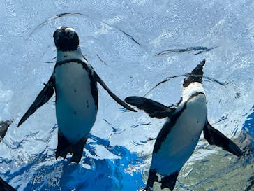 サンシャイン水族館に投稿された画像（2022/5/5）