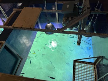 サンシャイン水族館に投稿された画像（2022/5/5）