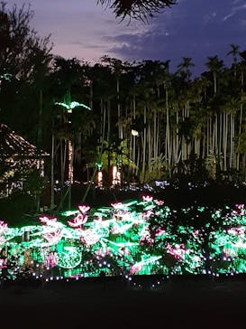 美らヤシパークオキナワ・東南植物楽園に投稿された画像（2022/5/5）