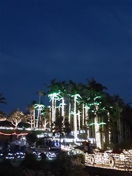 美らヤシパークオキナワ・東南植物楽園に投稿された画像（2022/5/5）