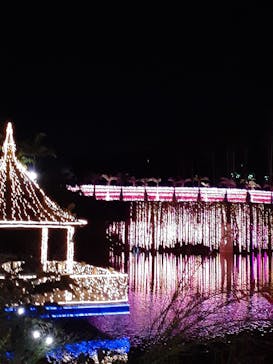 美らヤシパークオキナワ・東南植物楽園に投稿された画像（2022/5/5）