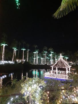 美らヤシパークオキナワ・東南植物楽園に投稿された画像（2022/5/5）