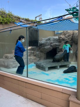 サンシャイン水族館に投稿された画像（2022/5/5）