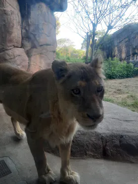 天王寺動物園に投稿された画像（2022/5/5）