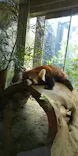 よこはま動物園ズーラシアに投稿された画像（2022/5/5）