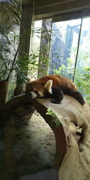 よこはま動物園ズーラシアに投稿された画像（2022/5/5）