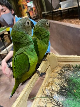 Moff animal world MARK IS みなとみらい店に投稿された画像（2022/5/5）