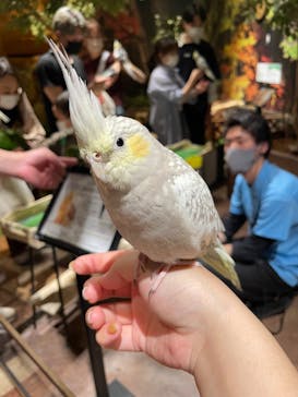 Moff animal world MARK IS みなとみらい店に投稿された画像（2022/5/5）