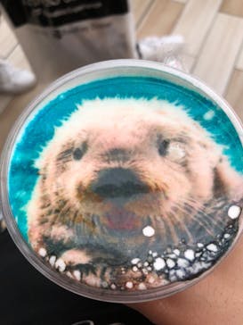 マリンワールド海の中道に投稿された画像（2022/5/5）