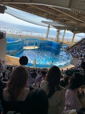新江ノ島水族館に投稿された画像（2022/5/5）