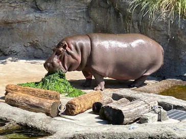 天王寺動物園に投稿された画像（2022/5/5）