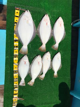 釣り船元栄丸に投稿された画像（2022/5/5）