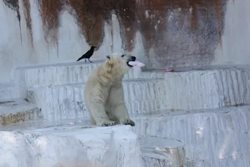 天王寺動物園に投稿された画像（2022/5/5）