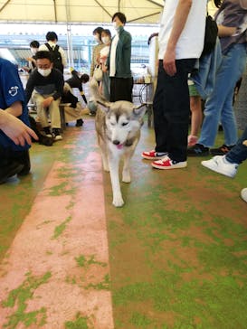 つくばわんわんランドに投稿された画像（2022/5/5）