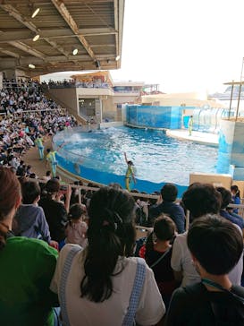 新江ノ島水族館に投稿された画像（2022/5/5）