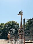 東武動物公園に投稿された画像（2022/5/5）